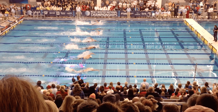 Pool Size Comparison: Olympic Size, 25 Meter & 25 Yard