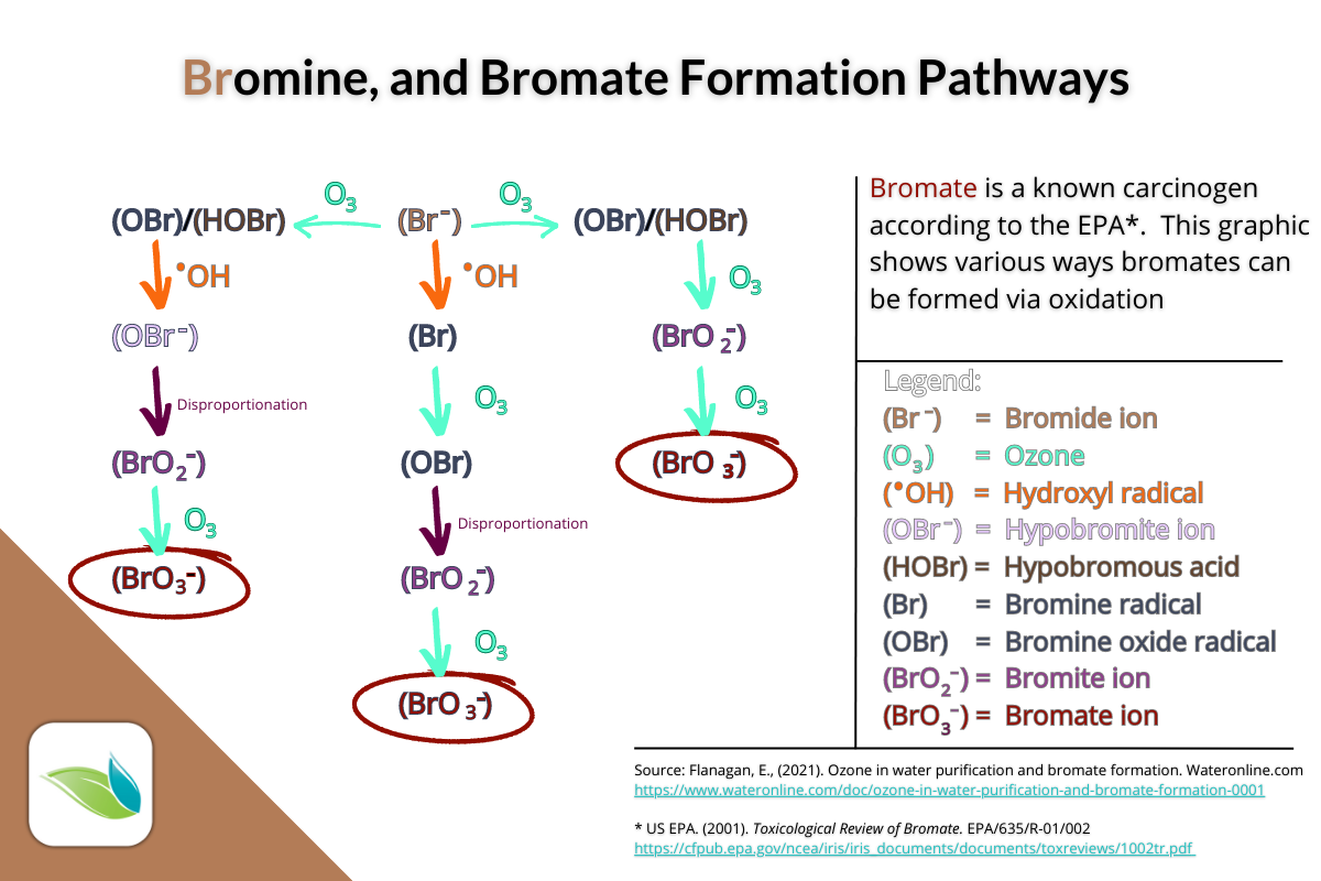 bromine and bromate byproducts