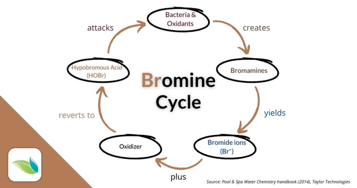bromine cycle