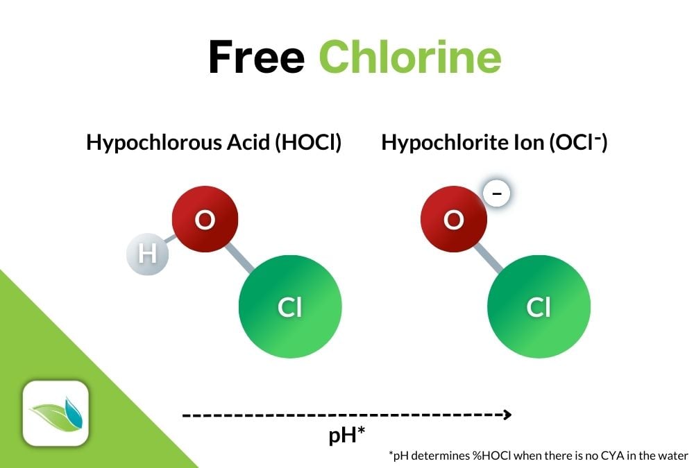 free chlorine graphic, HOCl, OCl