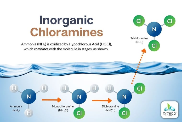 diagram of monochloramine, dichloramine and trichloramine formation from ammonia in the water. inorganic chloramines, Orenda Academy