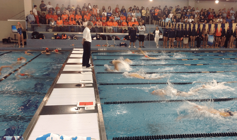 pool bulkhead, paddock bulkhead, bulkhead