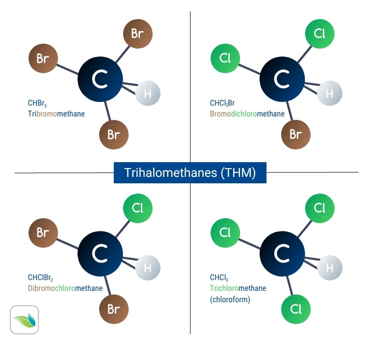trihalomethanes (THM)