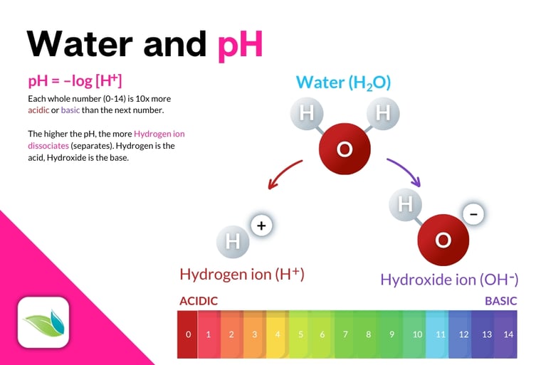 water and pH infographic, -log(H+), H2O and pH explainer, Orenda water chemistry education