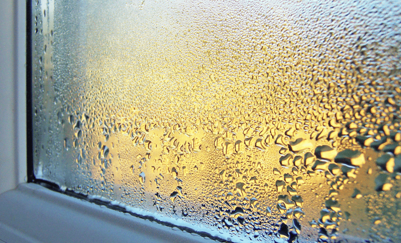 window condensation, dew point, natatorium condensation