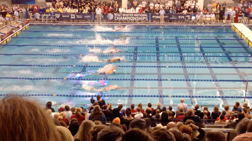 fast pool, fast swimming pool, what makes a swimming pool fast, USA Swimming, winter nationals, Eric Knight swim, Nathan Adrian